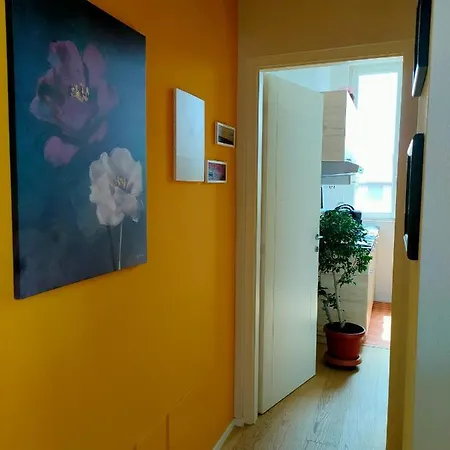 Guest house Monopat Marina Di Pisa